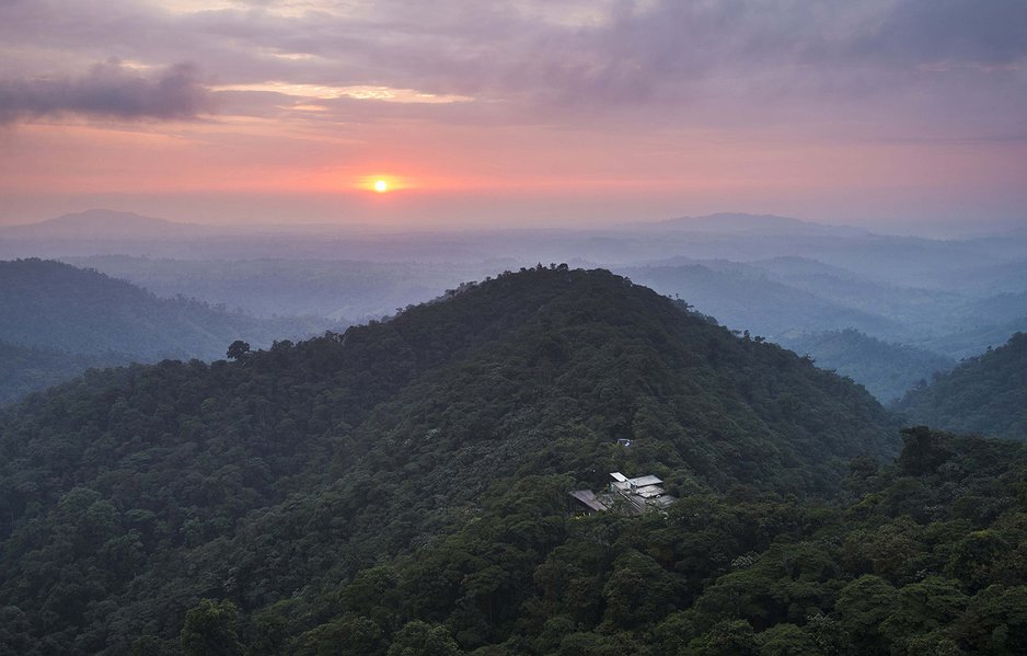 美品★forest / Cloud pedding Mashpi - Jungle Lodge in the Andean Cloud Forest | UNIQ Hotels